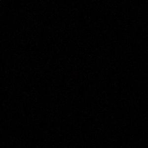 Meet your Posher, Dani